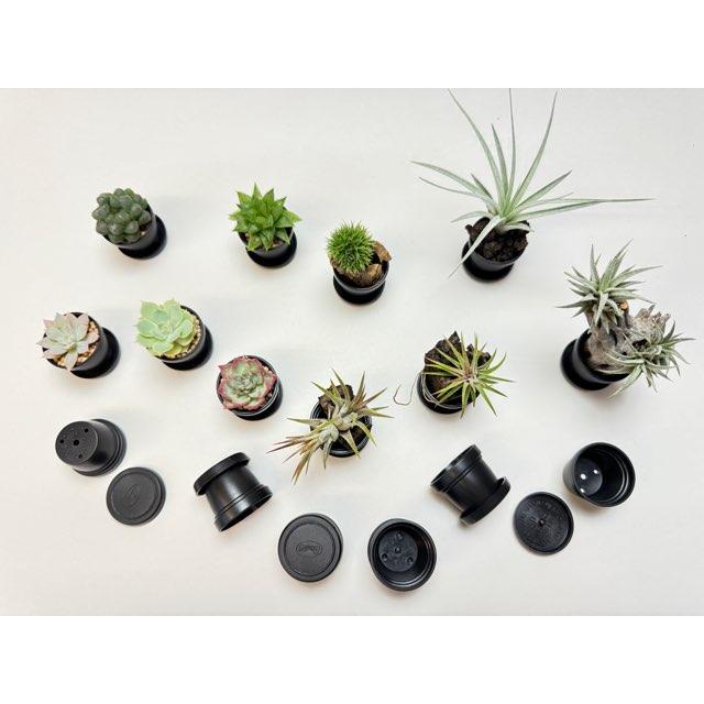 1号プラ鉢-黒鉢＋黒受皿セット 超ミニサイズ1寸鉢※空鉢販売で