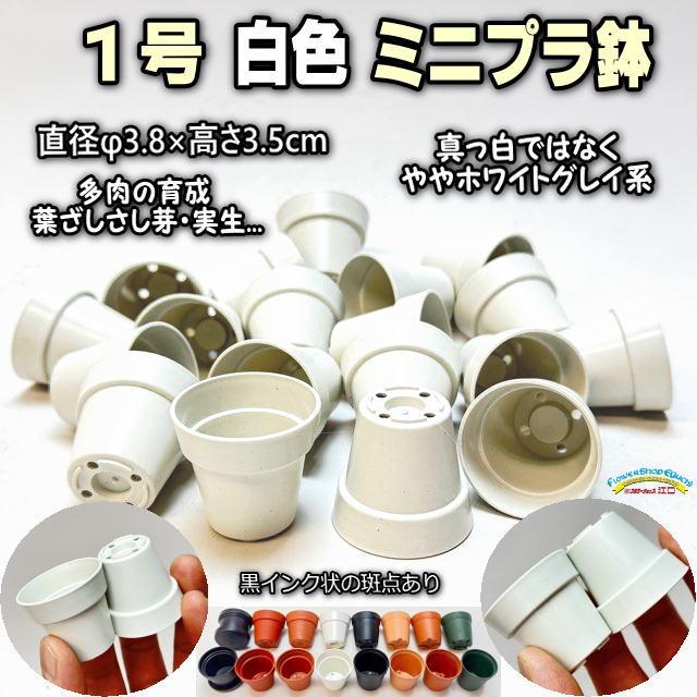 1号プラ鉢-白(W＊ホワイト)-超ミニサイズ(1号鉢1寸鉢一寸鉢)※黒インク