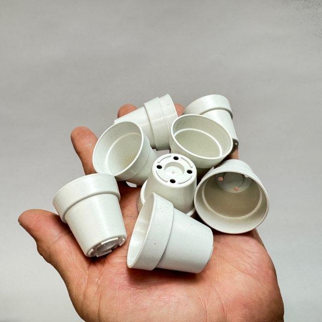 M1号 ミニサイズ5体 1号プラ鉢-(濃い)茶 超ミニサイズ＠フラワーショップ江口＊(1号鉢1寸鉢