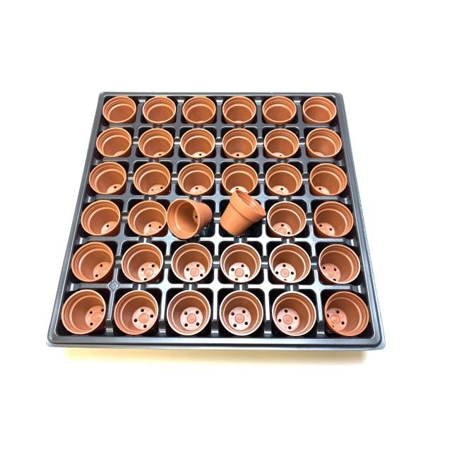 1号プラ鉢ぴったり整理トレイ：深型(H4.4cm)-薄(ソフト)：6×6=36鉢用