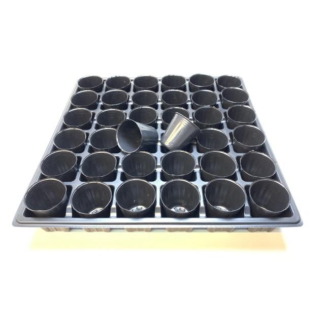 1号プラ鉢ぴったり整理トレイ：深型(H4.4cm)-薄(ソフト)：6×6=36鉢用