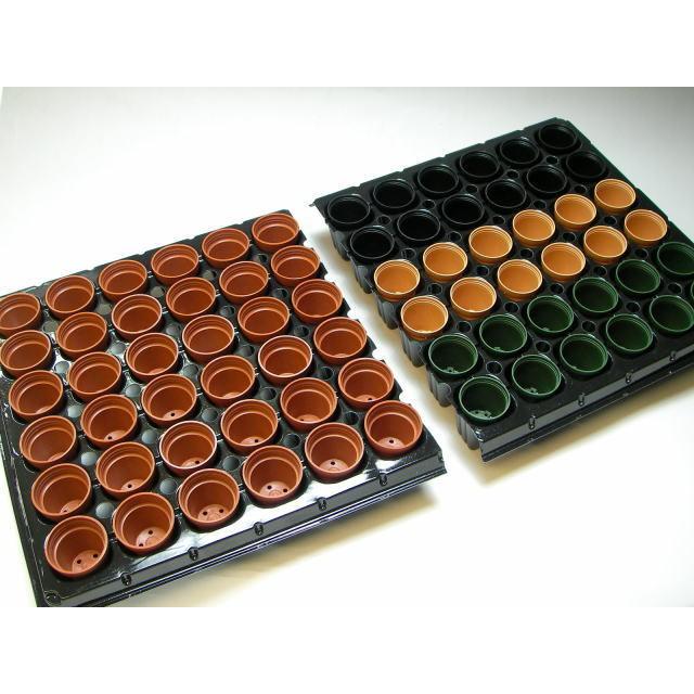 1号プラ鉢ぴったり整理トレイ-厚(ハード)：6×6=36鉢用[セルトレイ