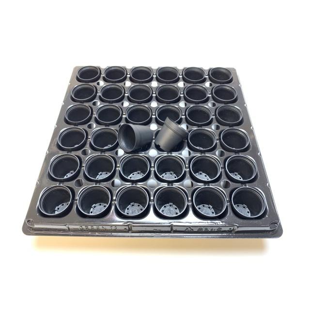 1号プラ鉢ぴったり整理トレイ-厚(ハード)：6×6=36鉢用[セルトレイ
