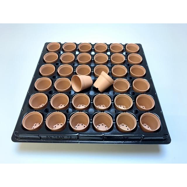 プラ鉢&トレーのセット① 1号プラ鉢ぴったり整理トレイ-厚(ハード)：6×6=36鉢用[セルトレイ
