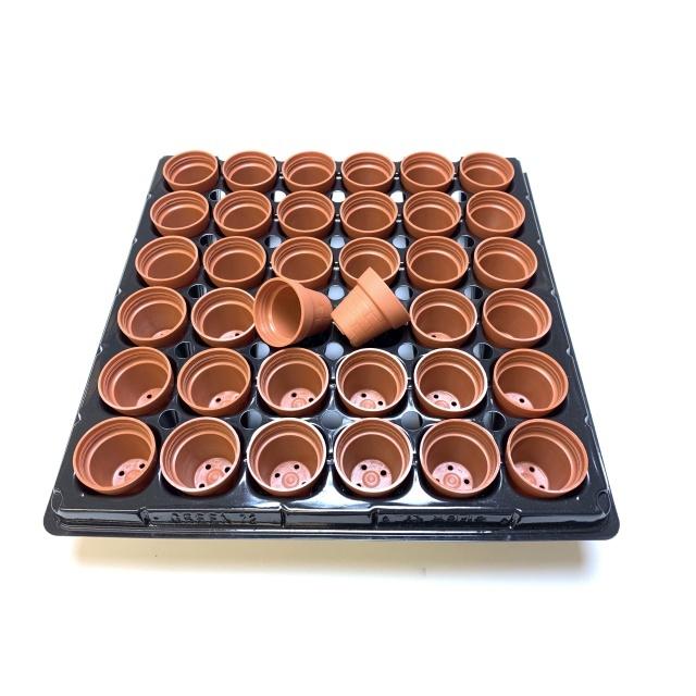 1号プラ鉢ぴったり整理トレイ-厚(ハード)：6×6=36鉢用[セルトレイ