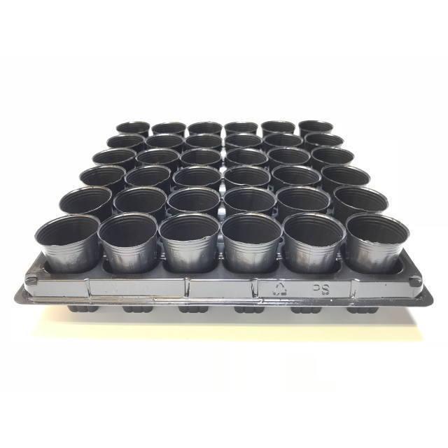 1号プラ鉢ぴったり整理トレイ-厚(ハード)：6×6=36鉢用[セルトレイ