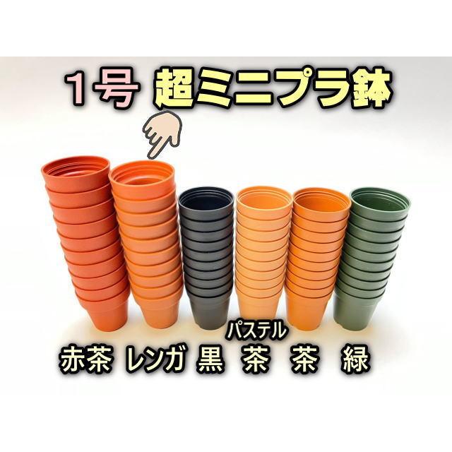 1号プラ鉢-レンガ-超ミニサイズ 1個売り[1-7B] : フラワーショップ江口