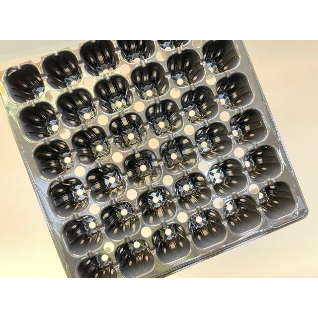 1号プラ鉢ぴったり整理トレイ-厚(ハード)＋1号プラ鉢-緑-超ミニサイズ