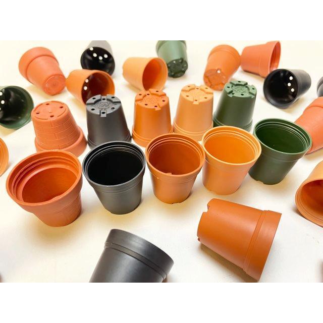 プラ鉢&トレーのセット① プラ鉢 A-30 白 24個セット + 専用トレー PMT-24白（ホワイト） 付き