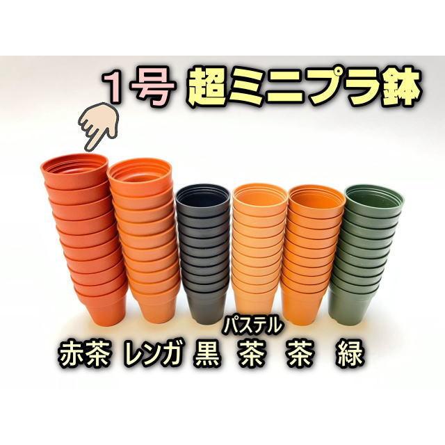 【引き取り限定】バラ3鉢 バラ鉢 8号 グリーン／直径24.5cm の通販 | 園芸ネット