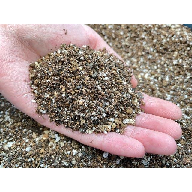 多肉植物専用オリジナルブレンド培養土-2L[無地袋](細粒系好み用