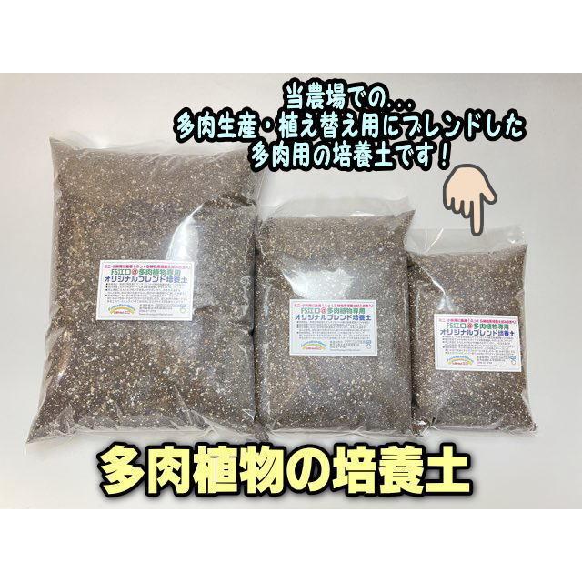 多肉植物専用オリジナルブレンド培養土 1l 無地袋 細粒系好み用 Fse 0ss フラワーショップ江口yahoo 店 通販 Yahoo ショッピング