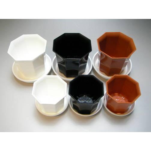 八角縁広プラ鉢(シャトル鉢)-2.5号中-茶(八角鉢) : フラワーショップ