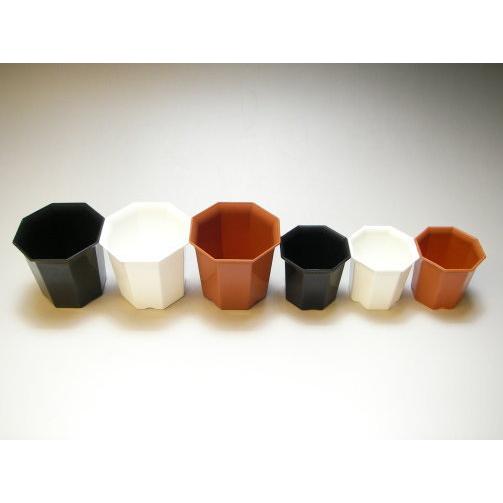 鉢2点 ミニ蘭鉢 白（ホワイト） プラ鉢 2.5号 10個 ミニラン鉢 多肉植物 鉢