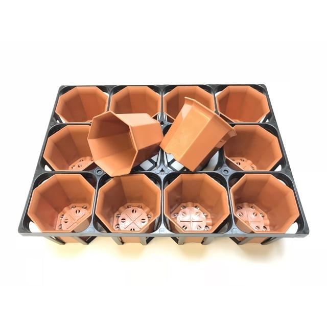 八角縁広プラ鉢(シャトル鉢)-2.5号中-茶(八角鉢) : フラワーショップ