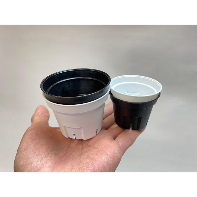 プレステラ丸型2.5号スリット鉢【白】〇＠多肉植物・塊根植物