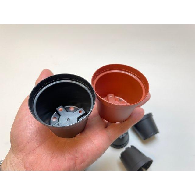 黒赤ツートン プラスチック鉢 楽天市場】プラ鉢 5号 縁あり丸鉢 ブラック 5DAX 幅15.3cm×高さ10.8cm