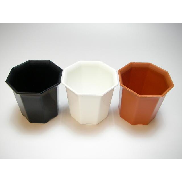 八角縁広プラ鉢(シャトル鉢)-2号小-黒-超ミニ(八角鉢)[2GB] : フラワー