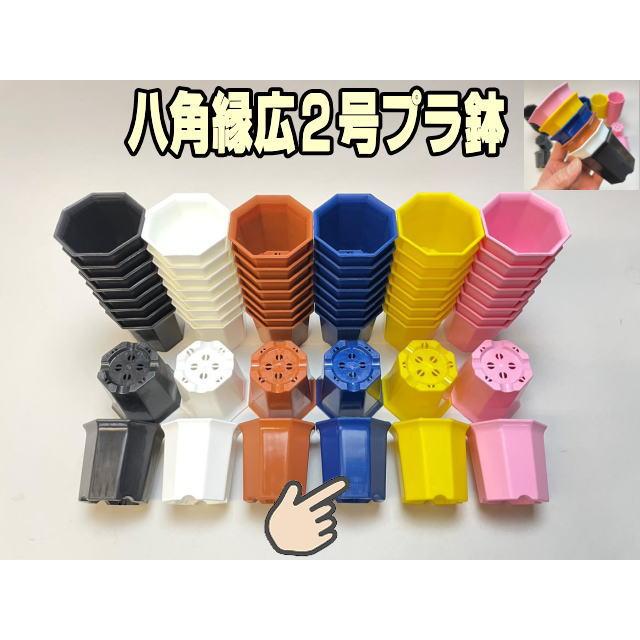 八角縁広プラ鉢(シャトル鉢)-2号小-青(ブルー)＊八角鉢 : フラワー