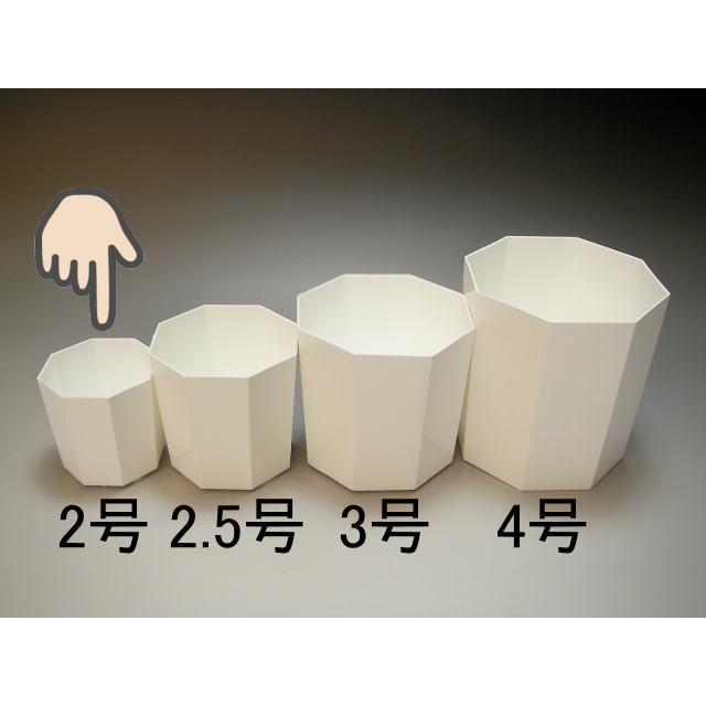 手数料安い プラポット 20.5cm 茶 穴ありタイプ riosmauricio.com 手数料安い プラポット 20.5cm 茶 穴ありタイプ riosmauricio.com