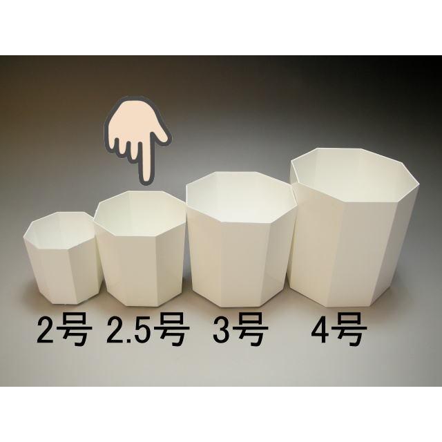 八角縁切立白プラ鉢-2.5号-小(2.5Y)[254GW] : フラワーショップ