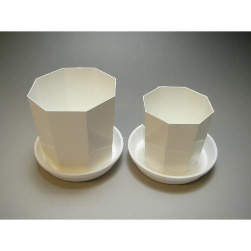 八角縁切立白プラ鉢-2.5号-小(2.5Y)[254GW] : フラワーショップ