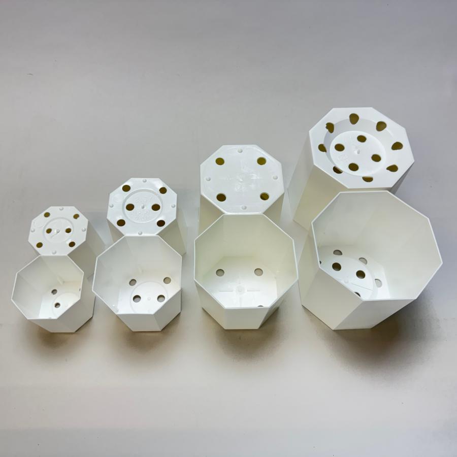 八角縁切立白プラ鉢-2.5号-小(2.5Y)カネヤ＊兼弥産業＊八角鉢[254GW