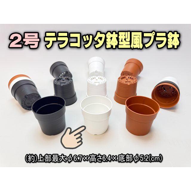 テラコッタ鉢型風プラ鉢-2号-白[2GW] : フラワーショップ江口Yahoo!店