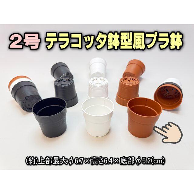 鉢・雑貨 | nae-ya｜herbal tree shop ｜ハーバルツリーショップ