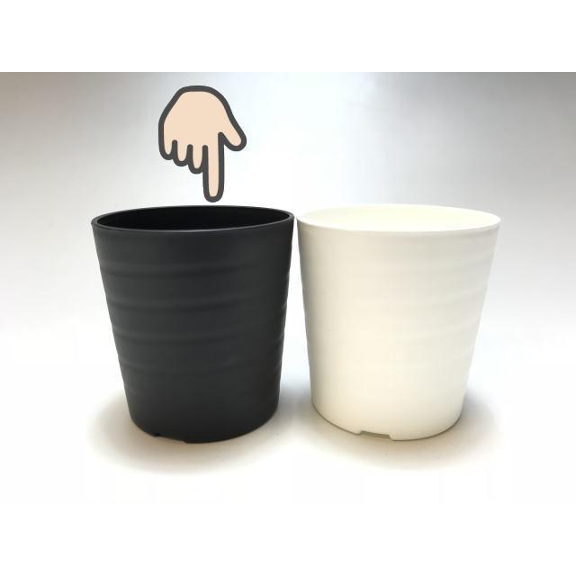 高級感 陶器風プラ鉢セラアート長鉢 2 5号 当店2号 マットな黒 Aynaelda Com