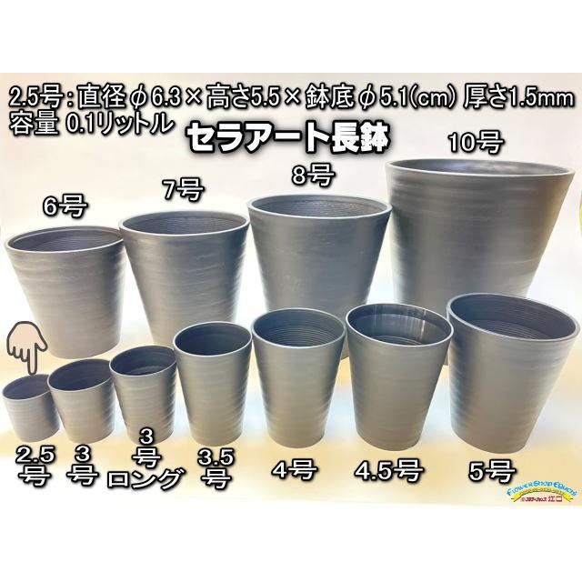 陶器風プラ鉢セラアート長鉢-2.5号/2.5寸(当店2号)-マットな黒●ブラック※【黒-超ミニ】[2GB]｜fseguchi｜02