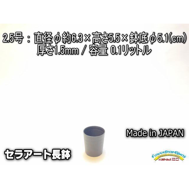 セラアート長鉢-2.5号/2.5寸(当店2号)-マットな黒○ブラック(陶器風