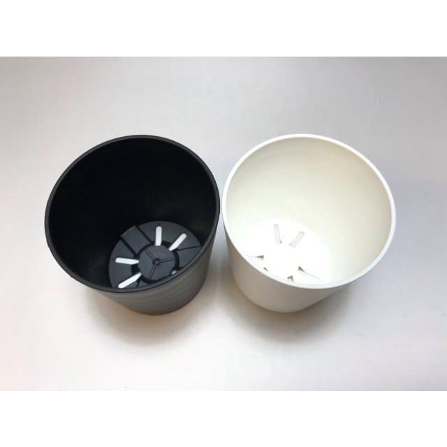 セラアート長鉢-2.5号/2.5寸(当店2号)-マットな黒○ブラック(陶器風