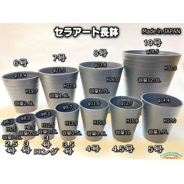 セラアート長鉢-2.5号/2.5寸(当店2号)-マットな白〇ホワイト(陶器風