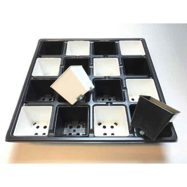 志野四角鉢 2号プラ鉢四角型-白色-ミニサイズ[2GW] : フラワーショップ江口Yahoo