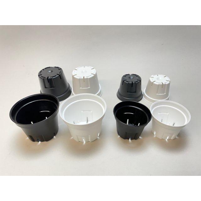 プレステラ丸型2号スリット鉢-ミニサイズ【白】〇＠多肉植物・塊根植物