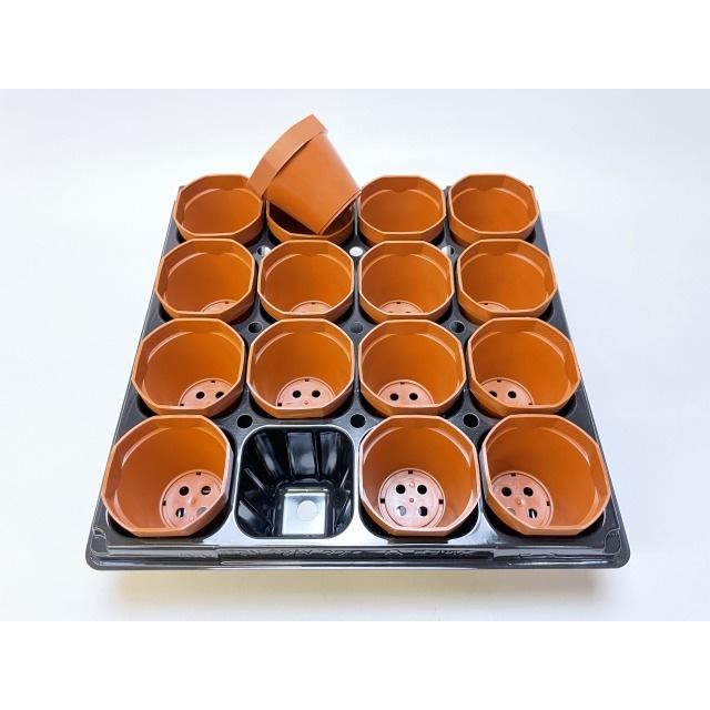 2号プラ鉢ぴったり整理トレイ-厚(ハード)：4×4=16鉢用[セルトレイ