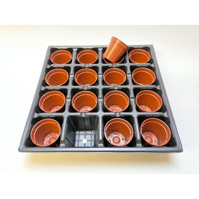 2号プラ鉢ぴったり整理トレイ-薄(ソフト)：4×4=16鉢用[セルトレイ