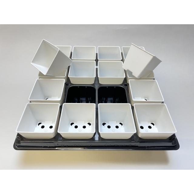 2号プラ鉢ぴったり整理トレイ-厚(ハード)＋2号プラ鉢四角型-白色-ミニ