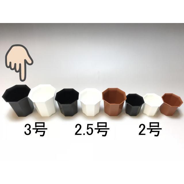 八角縁広プラ鉢(シャトル鉢)-3号大-黒(八角鉢)[254GB