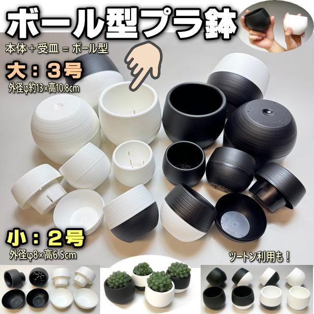 ボール型プラ鉢-3号-白大(1鉢)[254Gw] : フラワーショップ江口Yahoo!店