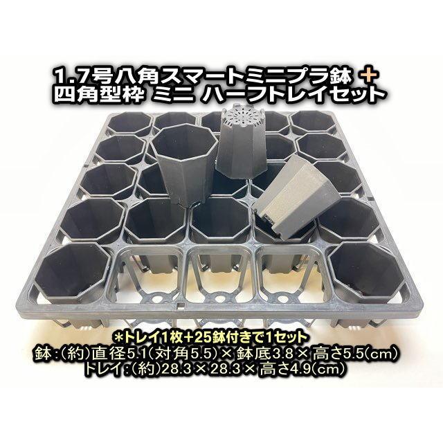 6cmポットや1.7号鉢用四角型枠トレイハーフハーフ：5×5=25鉢用＋1.7号