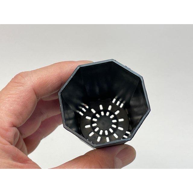 6cmポットや1.7号鉢用四角型枠トレイハーフハーフ：5×5=25鉢用＋1.7号