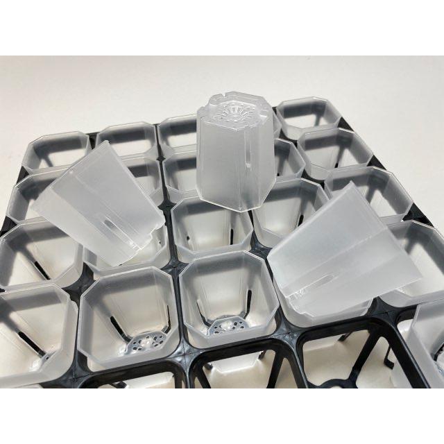 6cmポットや1.7号鉢用四角型枠トレイハーフ：5×5=25鉢用＋1.7号ミニ