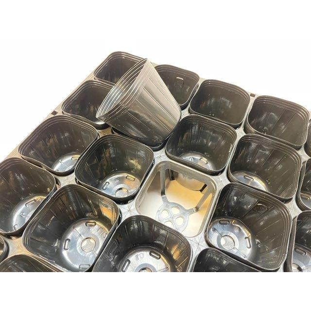6cmポットや1.7号鉢用四角型枠トレイハーフ：5×5=25鉢用＋6cmミニ
