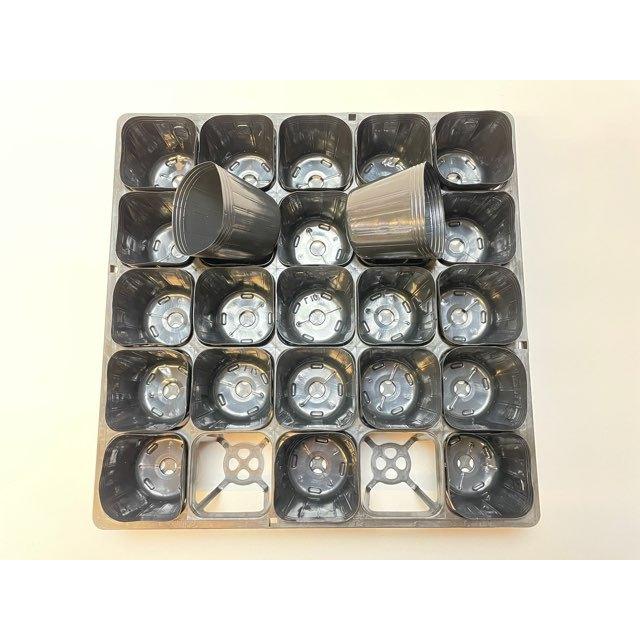 6cmポットや1.7号鉢用四角型枠トレイハーフ：5×5=25鉢用＋6cmミニ