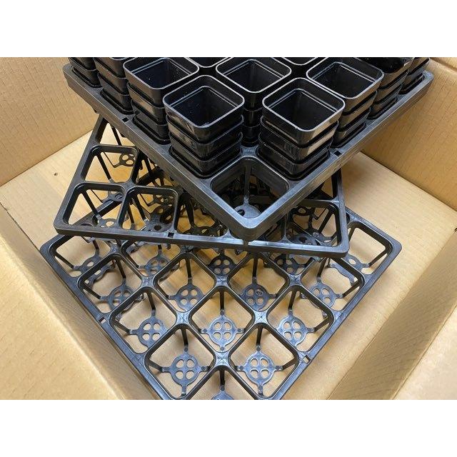 1/6計画 さいそう こおにボット 2号 くろぎん 限定カラー 1/6計画 さいそう こおにボット 2号 くろぎん 限定カラー さい