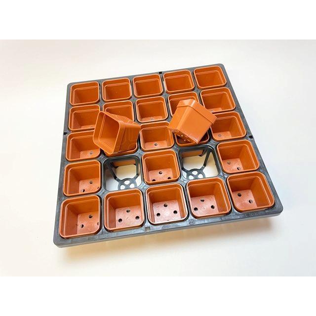 6cmポットや1.7号鉢用四角型枠トレイハーフ:5×5=25鉢用+1.7号 6cmポットや1.7号鉢用四角型枠トレイハーフ:5×5=25鉢用+1.7号