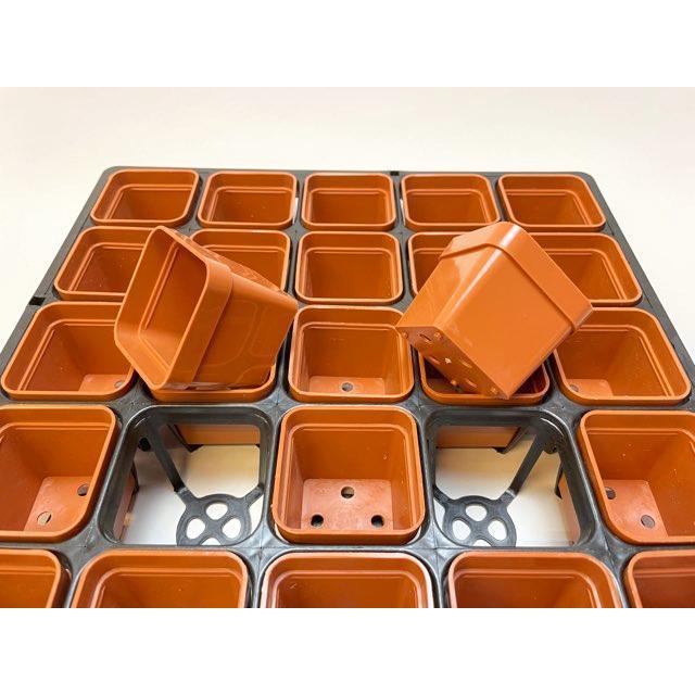 6cmポットや1.7号鉢用四角型枠トレイハーフ:5×5=25鉢用+1.7号 6cmポットや1.7号鉢用四角型枠トレイハーフ:5×5=25鉢用+1.7号