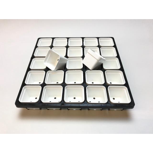 6cmポットや1.7号鉢用四角型枠トレイハーフ:5×5=25鉢用+1.7号 6cmポットや1.7号鉢用四角型枠トレイハーフ:5×5=25鉢用+1.7号